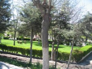 Sétif ville le 21 Avril 2012