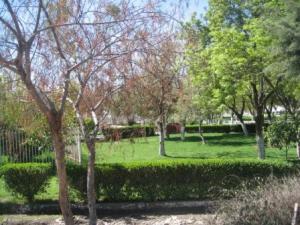 Sétif ville le 21 Avril 2012