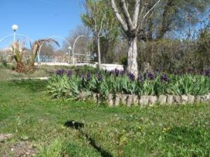 Sétif ville le 21 Avril 2012