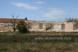 Vieilles carcasses de fermes coloniales près d\'El Amria ex Lourmel, Route de Bouzedjar