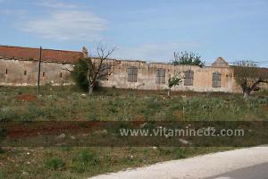 Vielles carcasses de fermes coloniales, à El Amria, route de Bouzedjar