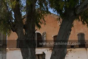 Ferme Coloniale aux environs de Lourmel (El Amria)