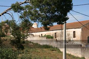 Ferme Coloniale aux environs de Lourmel (El Amria)