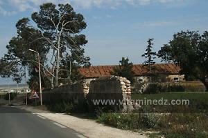 Ferme Coloniale aux environs de Lourmel (El Amria), route de Bouzedjar