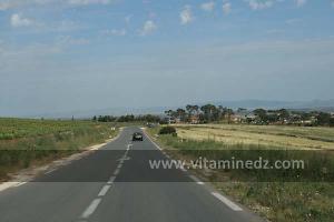 Route de Bouzedjar Vers El Amria