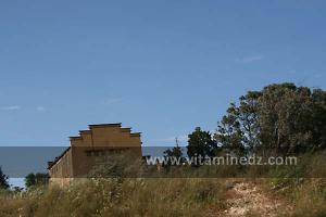 Cave viticole entre El Amria et Bouzedjar