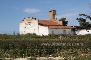 Cave viticole entre El Amria et Bouzedjar