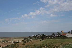 Ferme Coloniale aux environs de Lourmel (El Amria)