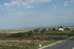 Domaines coloniaux près d\'El Amria, ex Lourmel