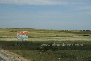 Bienvenus da la commune d\'El Amria