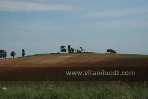 Domaines agricoles et fermes coloniales dans les plaines entre El Amria et Bouzedjar