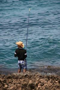 Peucheur du Vendredi à l\'ilot Gerardi, Plage de Sbiat, entre Bouzedjar et Sassel