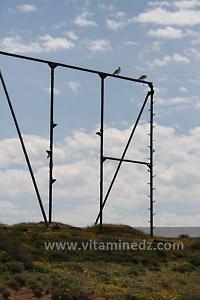 Tyroliennes à la Plage de S\'biat