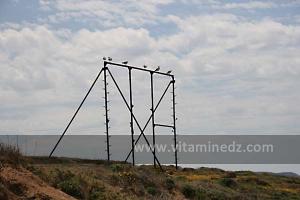 Sbiat est aussi connu sous le nom de « Gérardi »