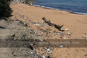 Déchets déversés à la Plage de Sbiat