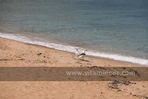 Plage de Sbiat, entre Bouzedjar et Sassel