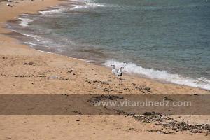 Plage de Sbiat, entre Bouzedjar et Sassel