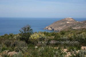 Vues des hauteurs de la plage de Sbi3at