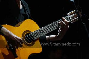 Guitare de Hcen Agrane du groupe Caméléon