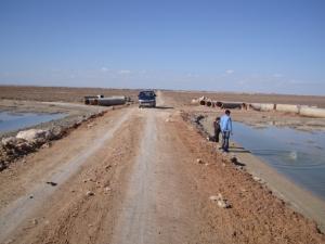 المناطق الرطبة