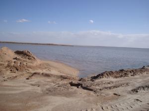 المناطق الرطبة