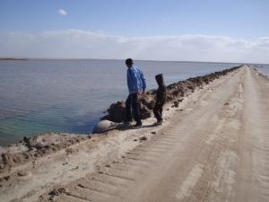 المناطق الرطبة