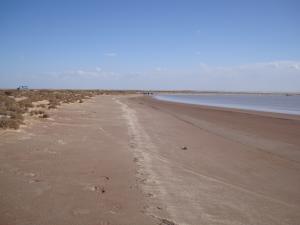 المناطق الرطبة