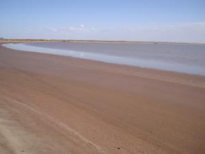 المناطق الرطبة