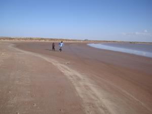 المناطق الرطبة