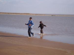 المناطق الرطبة