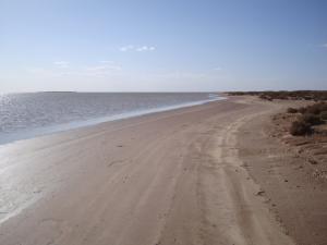 المناطق الرطبة