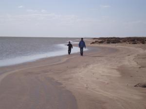 المناطق الرطبة