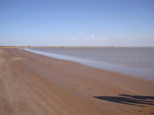 المناطق الرطبة