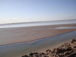 المناطق الرطبة