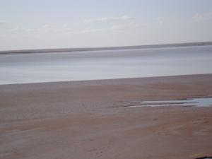 المناطق الرطبة