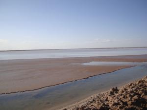 المناطق الرطبة