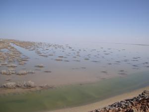 المناطق الرطبة