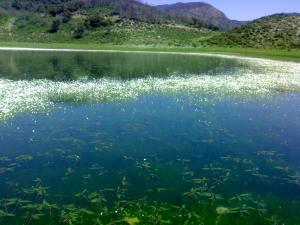 البحيرة المعلقة