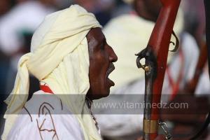 Parade populaire de groupe folkloriques algériens aux cérémonies de clôture de Tlemcen capitale de la culture islamique 2011 (21/04/2012)
