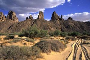 صورة من ضواحي 