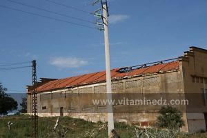 Cave viticole entre El Amria et Bouzedjar en délabrement