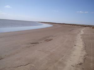 المناطق الرطبة