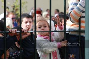 Parade populaire de groupe folkloriques algériens aux cérémonies de clôture de Tlemcen capitale de la culture islamique 2011 (21/04/2012)
