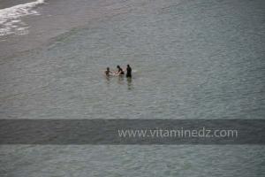 Plage de Port Say (Marsa Ben Mhidi) la période de Mai 2012