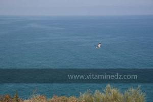 Hauteurs de la Plage de Port Say (Marsa Ben Mhidi) la période de Mai 2012
