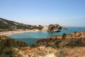 Moscarda1 et 2 Plage de Port Say (Marsa Ben Mhidi) la période de Mai 2012