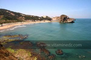 Moscarda 2, Plage de Port Say (Marsa Ben Mhidi) la période de Mai 2012