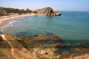 Moscarda 2, Plage de Port Say (Marsa Ben Mhidi) la période de Mai 2012