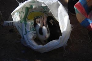 SOUK HEBDO EN ALGERIE L'INFORMEL QUI RANGE NOTRE ECONOMIE