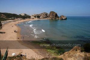 Moscarda 2, Plage de Port Say (Marsa Ben Mhidi) la période de Mai 2012